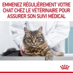 Royal Canin Dental Care Pour Chat 3,5kg 21 Royal Canin Dental Care Pour Chat 3,5kg -Trixie Magasin Royal Canin Dental Care Chat FR 10