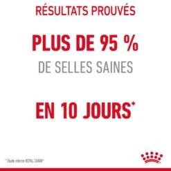 Royal Canin Digestive Care Pour Chat 10kg -Trixie Magasin Royal Canin Digestive Care Chat FR 06