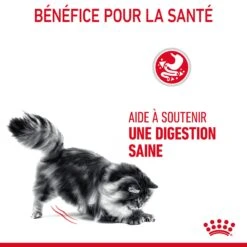 Royal Canin Digestive Care Pour Chat 10kg -Trixie Magasin Royal Canin Digestive Care Chat FR 07