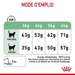 Royal Canin Digestive Care Pour Chat 10kg -Trixie Magasin Royal Canin Digestive Care Chat FR 09