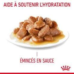 Royal Canin Digestive Care En Sauce Pour Chat 12 Sachets De 85g -Trixie Magasin Royal Canin Digestive Care Gravy Chat FR 08