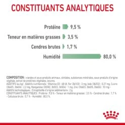 Royal Canin Digestive Care En Sauce Pour Chat 12 Sachets De 85g -Trixie Magasin Royal Canin Digestive Care Gravy Chat FR 10