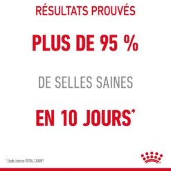 Royal Canin Digestive Care En Sauce Pour Chat 12 Sachets De 85g -Trixie Magasin Royal Canin Digestive Care Gravy Chat FR 14
