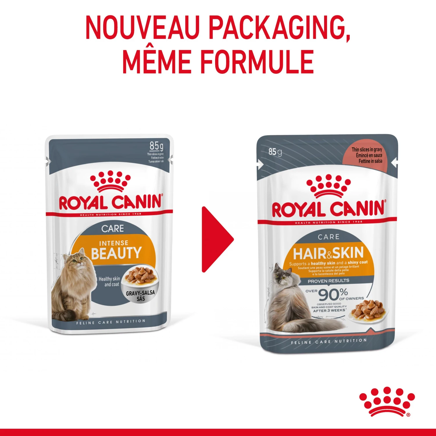 Royal Canin Hair & Skin Care En Sauce Pour Chat 12 Sachets De 85g 6 Royal Canin Hair & Skin Care En Sauce Pour Chat 12 Sachets De 85g – Image 4