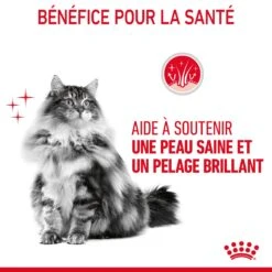 Royal Canin Hair & Skin Care En Sauce Pour Chat 12 Sachets De 85g 22 Royal Canin Hair & Skin Care En Sauce Pour Chat 12 Sachets De 85g -Trixie Magasin Royal Canin Hair Skin Care Gravy Chat FR 08