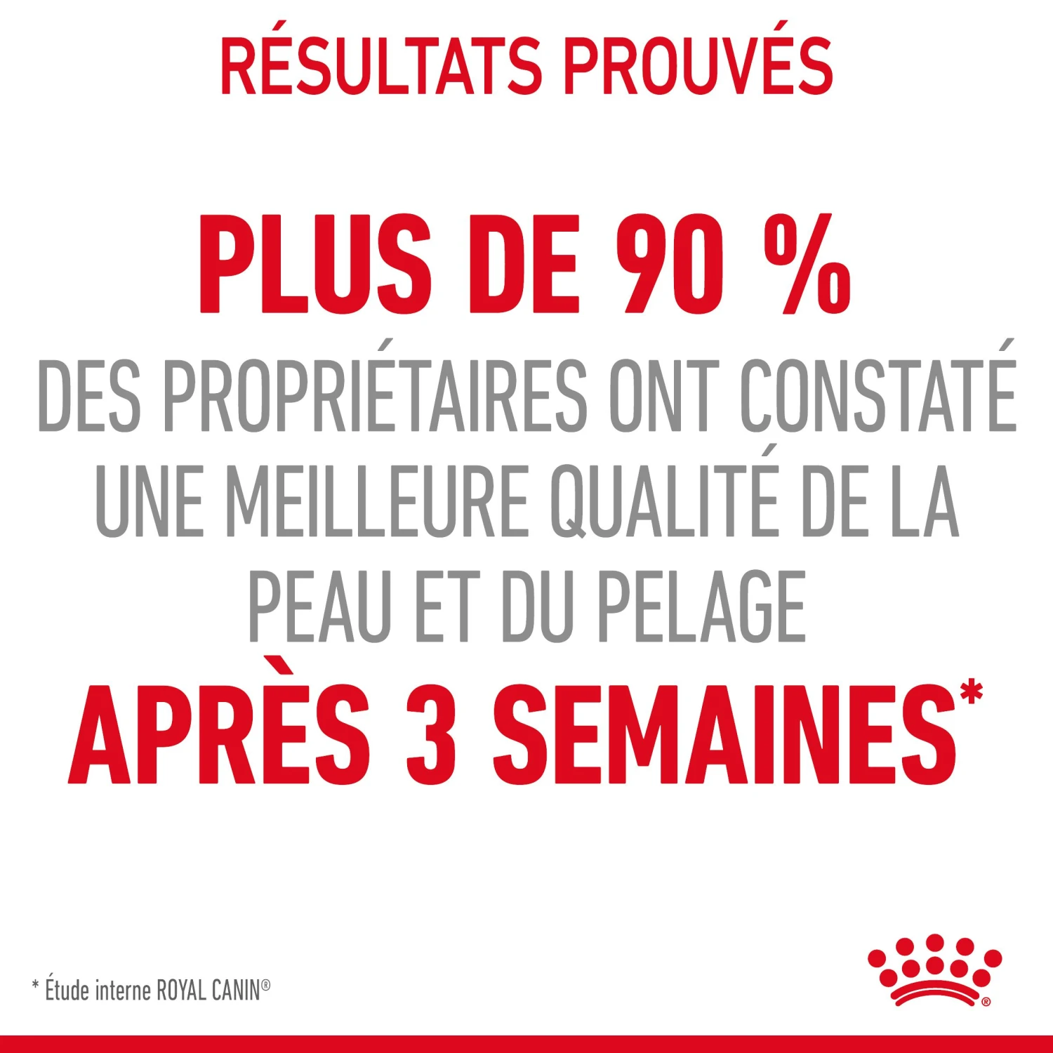 Royal Canin Hair & Skin Care En Sauce Pour Chat 12 Sachets De 85g 15 Royal Canin Hair & Skin Care En Sauce Pour Chat 12 Sachets De 85g – Image 13