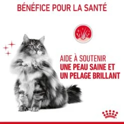 Royal Canin Hair & Skin Care Pour Chat 10kg -Trixie Magasin Royal Canin Hair skin Care Chat FR 07