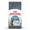 Royal Canin Hairball Care Pour Chat 4kg -Trixie Magasin Royal Canin Hairball Care Cat 1 1