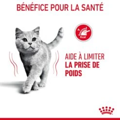 Royal Canin Light Weight Care Pour Chat 1,5kg -Trixie Magasin Royal Canin Light Weight Chat FR 07 1