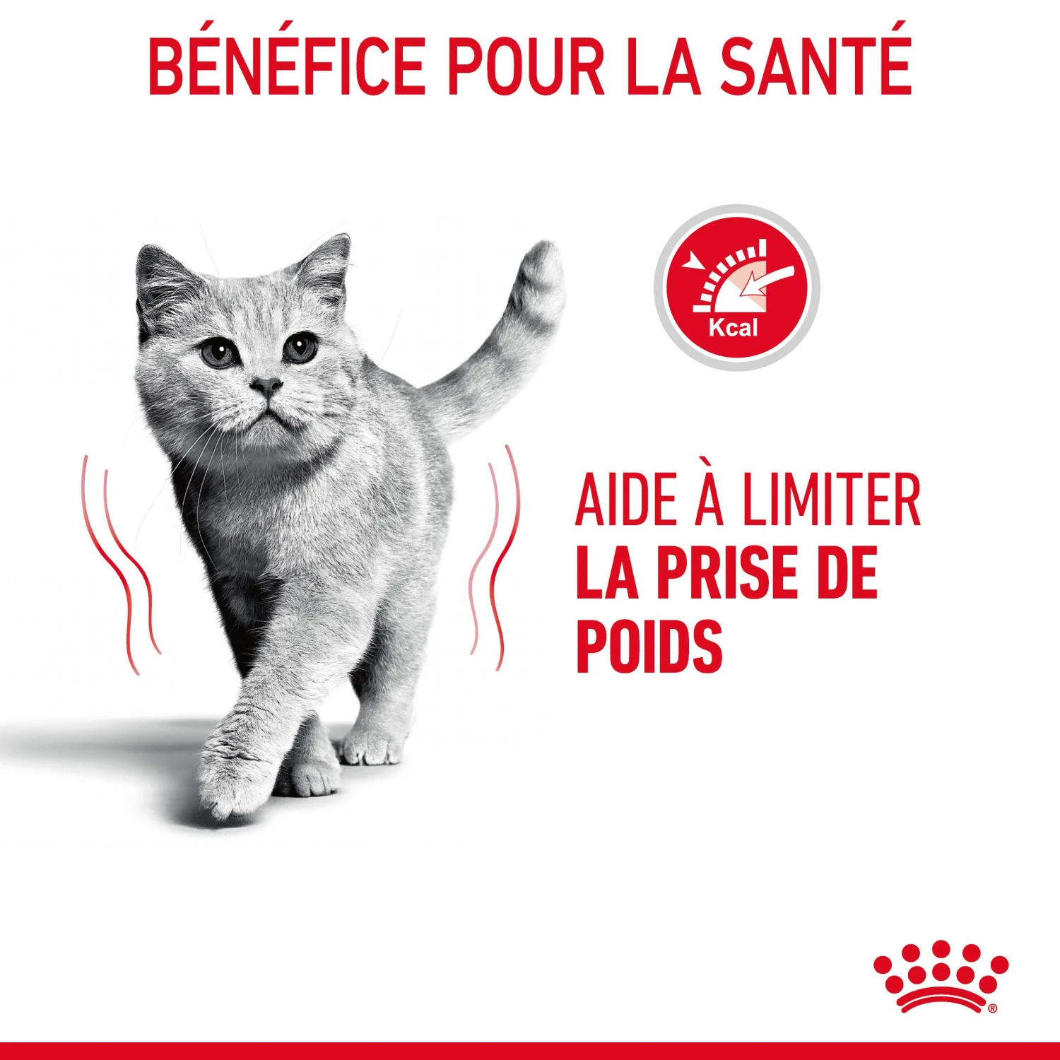 Royal Canin Light Weight Care Pour Chat 3kg 9 Royal Canin Light Weight Care Pour Chat 3kg – Image 7