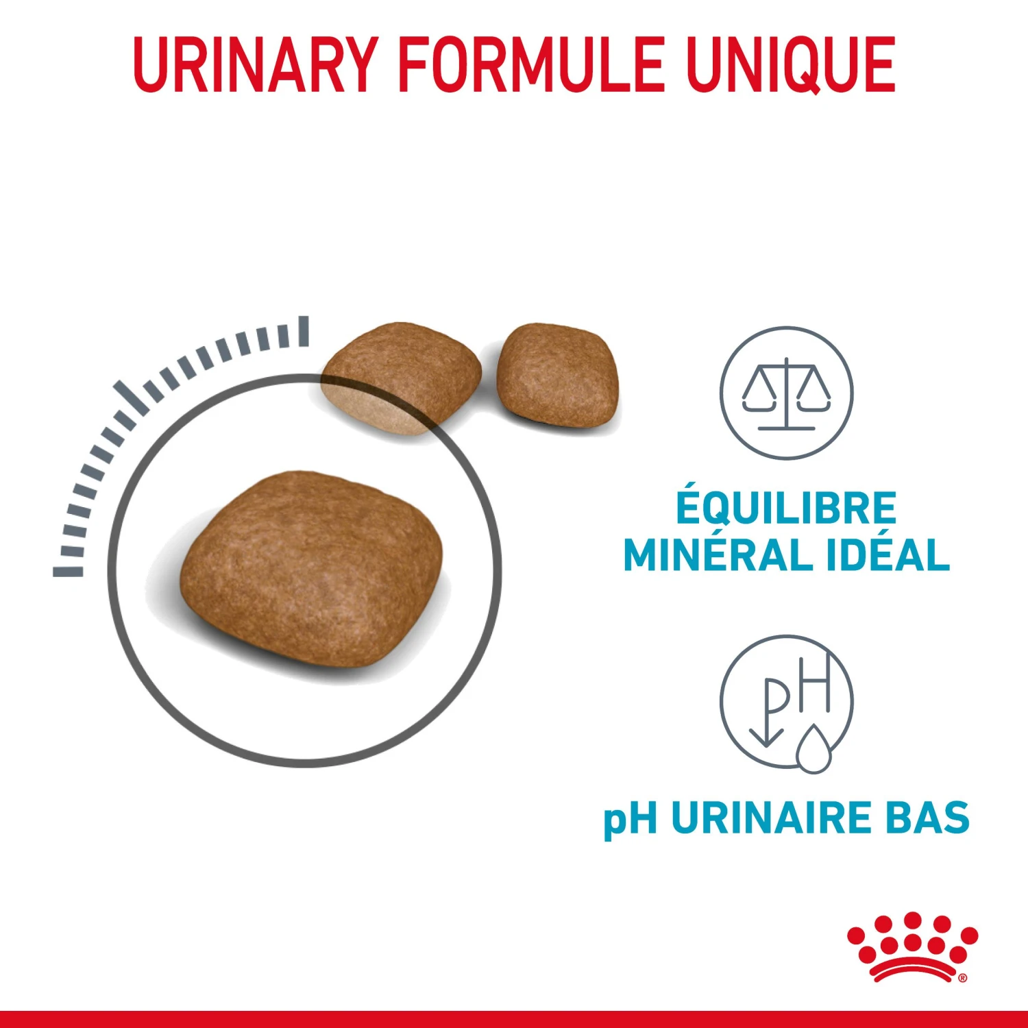 Royal Canin Urinary Care Pour Chat 4kg 7 Royal Canin Urinary Care Pour Chat 4kg – Image 5