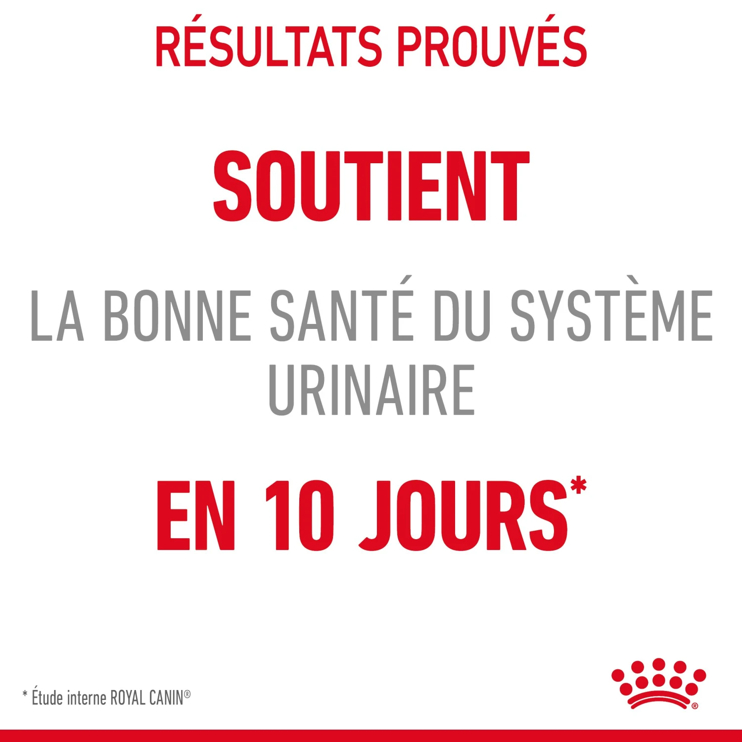 Royal Canin Urinary Care Pour Chat 2kg 8 Royal Canin Urinary Care Pour Chat 2kg – Image 6