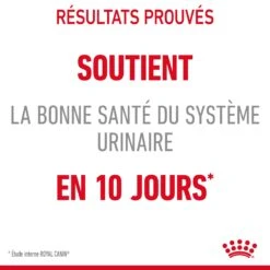 Royal Canin Urinary Care Pour Chat 4kg 18 Royal Canin Urinary Care Pour Chat 4kg -Trixie Magasin Royal Canin Urinary Care Chat FR 06