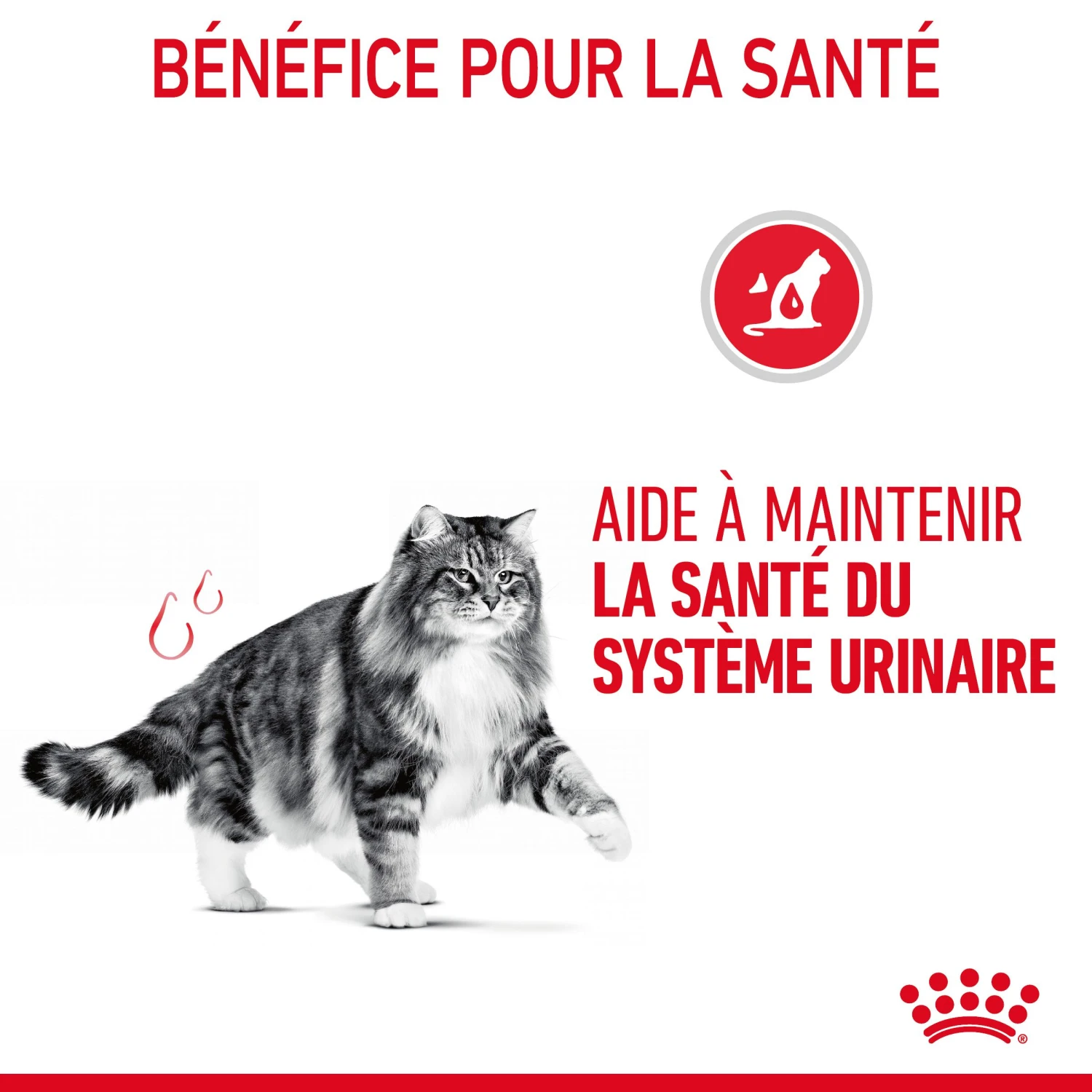 Royal Canin Urinary Care Pour Chat 4kg 9 Royal Canin Urinary Care Pour Chat 4kg – Image 7