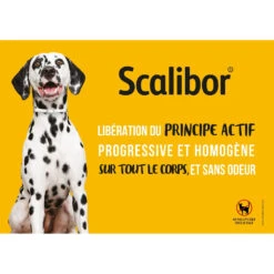 Scalibor Collier Anti-tiques, Anti-phlébotomes Et Anti-moustiques -Trixie Magasin Scalibor phlebotomists collar dog tics antiparasitic 3.jpg 1