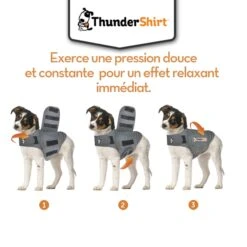 Body Anti Stress Thundershirt 21 Body Anti Stress Thundershirt -Trixie Magasin Thundershirt 7 FR