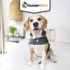 Body Anti Stress Thundershirt