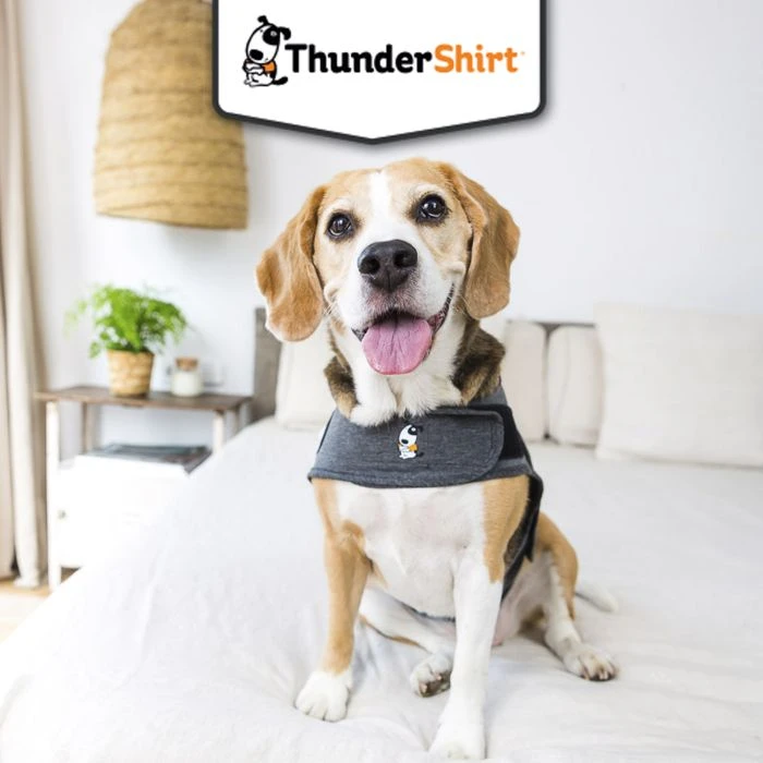 Body Anti Stress Thundershirt 3 Body Anti Stress Thundershirt