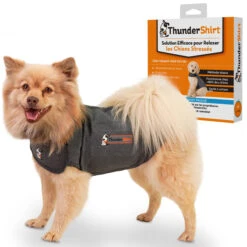 Body Anti Stress Thundershirt 16 Body Anti Stress Thundershirt -Trixie Magasin Thundershirt XS