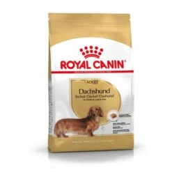 Royal Canin Teckel Adult Pour Chien 1,5kg