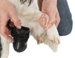 Trixie Chaussures De Protection Walker Active / L-XL 2pcs. -Trixie Magasin a9ed7403e7270fba9cbe0c569267f57bb704d33b769ec1a5458f95b1bf0c54e0 1