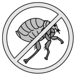 Flamingo Antiparasitaire Batali Puce & Tique Stop Spray Panier & Tapis 800ml -Trixie Magasin ac38722791d08c74ff88dc1f32ffcc4587f59ac245908855e8c94d6cc5c69c8c