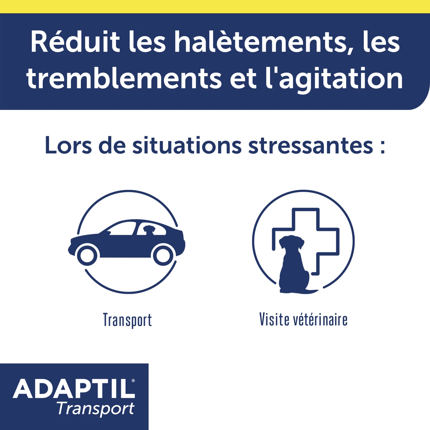 ADAPTIL SPRAY TRANSPORT 20ML 5 ADAPTIL SPRAY TRANSPORT 20ML – Image 3