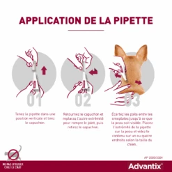 Advantix Chien Moyen 10-25Kg 12 Advantix Chien Moyen 10-25Kg -Trixie Magasin advantix application de la pipette 1 1