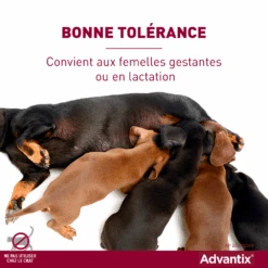 Advantix Chien Moyen 10-25Kg 14 Advantix Chien Moyen 10-25Kg -Trixie Magasin advantix bonne tol rance