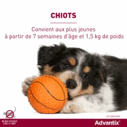 Advantix Très Petit Chien 2-4Kg -Trixie Magasin advantix convient aux chiots