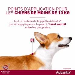 Advantix Très Petit Chien 2-4Kg -Trixie Magasin advantix point d application 2