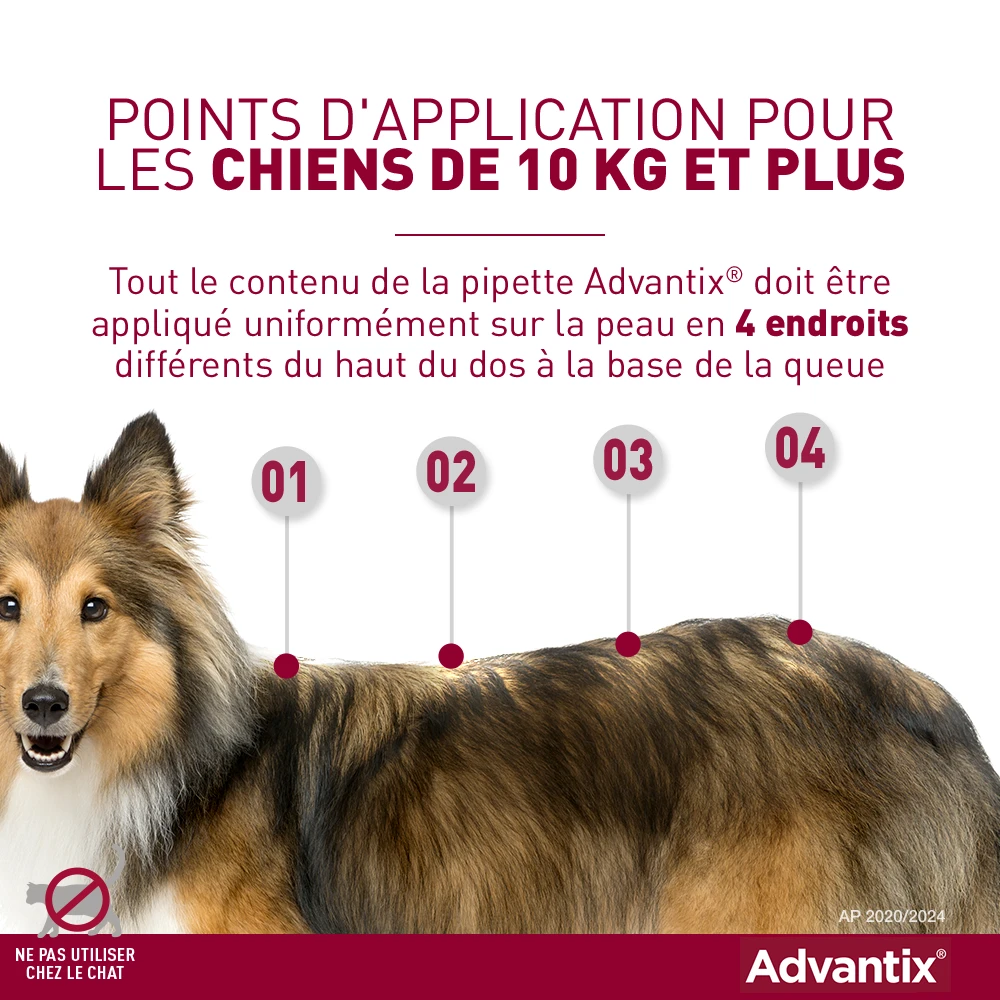 Advantix Chien Moyen 10-25Kg 7 Advantix Chien Moyen 10-25Kg – Image 5