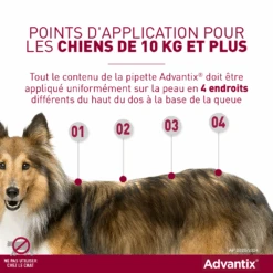 Bayer Advantix Grand Chien 25-40Kg -Trixie Magasin advantix point d application grands chiens 1