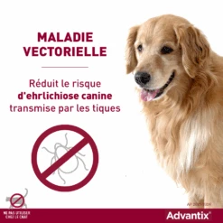 Bayer Advantix Grand Chien 25-40Kg -Trixie Magasin advantix r duit le risque de maladies vectorielles