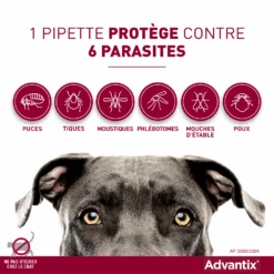 Advantix Chien Moyen 10-25Kg 11 Advantix Chien Moyen 10-25Kg -Trixie Magasin advantix spectre de protection 1