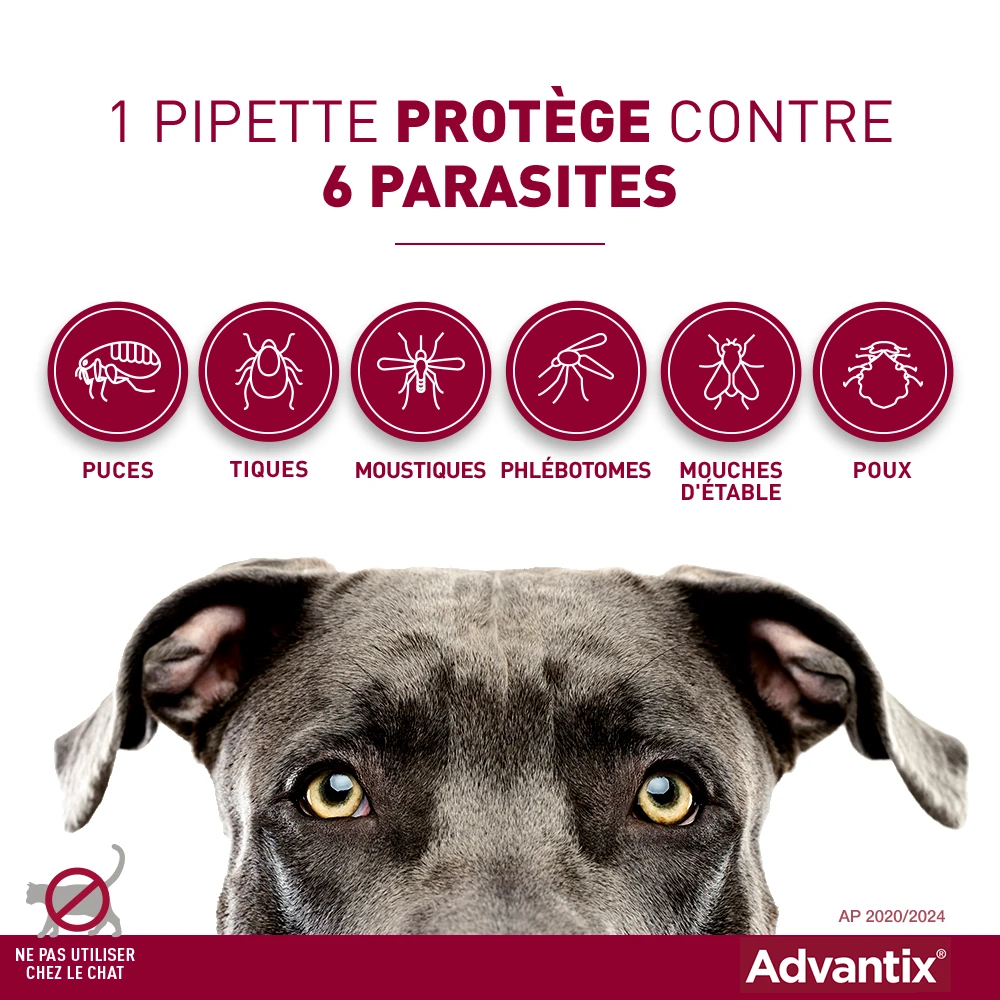 Advantix Chien Moyen 10-25Kg 5 Advantix Chien Moyen 10-25Kg – Image 3