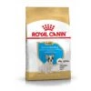 Royal Canin French Bulldog Chiot Pour Chien 10kg 2 Royal Canin French Bulldog Chiot Pour Chien 10kg -Trixie Magasin ae834723e5523e8030fe599f5257e682193b0460780e0be311f7013ccf845502