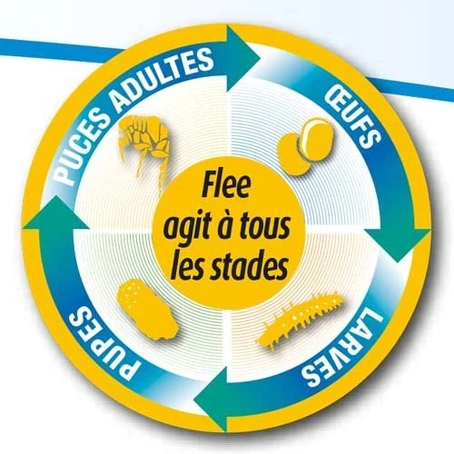 Flee Aerosol 400ml 5 Flee Aerosol 400ml – Image 3