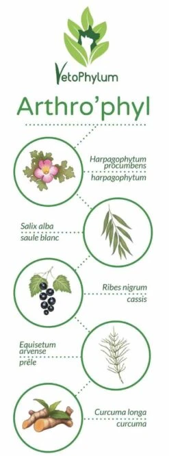 Arthro'Phyl -Trixie Magasin arthrophyl4