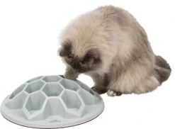 Trixie Jeu Pour ChatSnack Hive XXL Ø 35 Cm -Trixie Magasin b6e3cce409f40e966271fa2105510ff9da786b6efde0970d26d539691d01c24e
