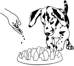 Flamingo Gamelle Anti-glouton Northmate Green Mini 29x22,5x7cm -Trixie Magasin b74acb27fc8671dd3a6a347beb8b4d678a9f6bea25d7cfd99894003e8e580dae