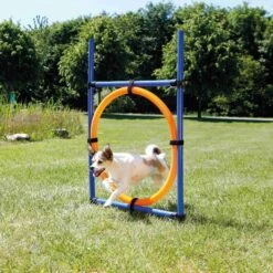 Trixie Fun Agility Anneau -Trixie Magasin b79a4466414a4da2954e391c8207a65bb94e1716621690dc570aa14f387fe2a5