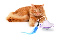 Flamingo Jouet Chat Scully Electro Dia. 9,7cm -Trixie Magasin b9844104c47250fc7f535f3590b1b4419bc7e40968ece37baf777bb09b2f8ccf