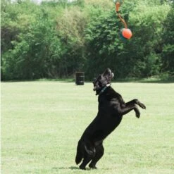 Ballon 3 En 1 Rope Fetch -Trixie Magasin ballon 3 en 1 rope fetch3