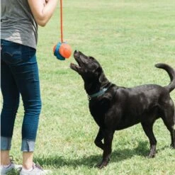 Ballon 3 En 1 Rope Fetch -Trixie Magasin ballon 3 en 1 rope fetch5