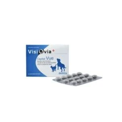 Visiovia + Capital Vue 30 Comprimés