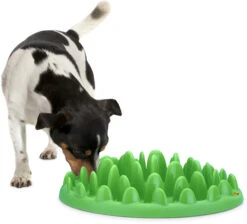 Flamingo Gamelle Anti-glouton Northmate Green Vert 40x30x10cm -Trixie Magasin ca21cf77c020913a229f12bbf00744c386edd36c219b18ff30946abedd6b8831