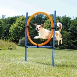 Trixie Fun Agility Anneau -Trixie Magasin cad8bc371e5482bac9a79dc43148760ac719992c4d78f9f0bddaf49c87e3169a