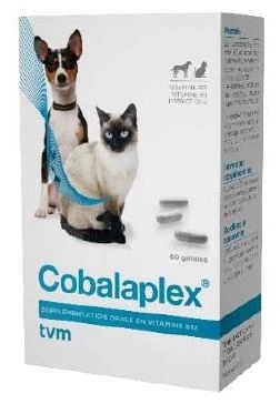 Cobalaplex 60 Gélules 4 Cobalaplex 60 Gélules – Image 2