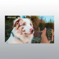 Collier De Dressage Canicom Voice NUM'AXES 9 Collier De Dressage Canicom Voice NUM'AXES -Trixie Magasin collier dressage canicom voice4